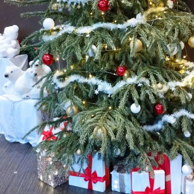 Toute notre équipe vous souhaite un très joyeux Noël et de belles fêtes avec vos proches 🎁🎄
